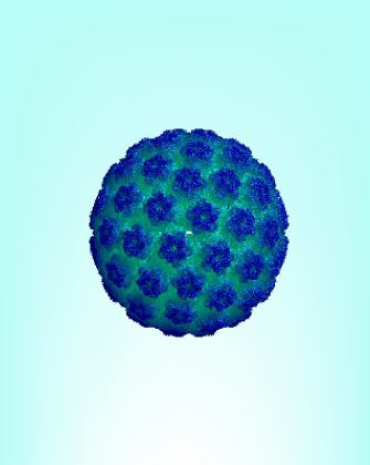 آزمایش HPV