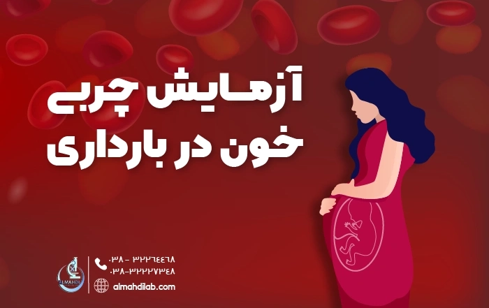 آزمایش چربی خون در بارداری و تفسیر کامل آن